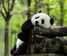 3-Week Grand Tour of China's Landmarks