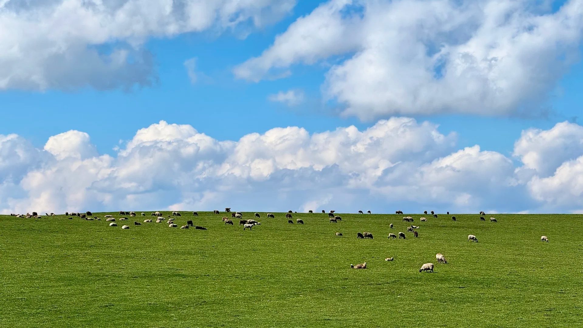 Photos from a trip to the Karajun Grasslands